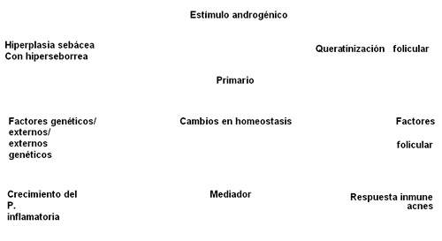 acne_jaime